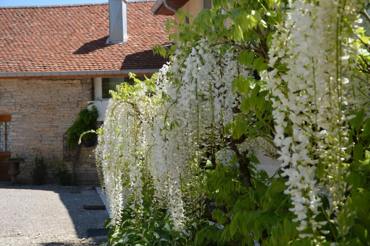 Hotel La Ferme Aux Glycines Aillevans Exteriér fotografie